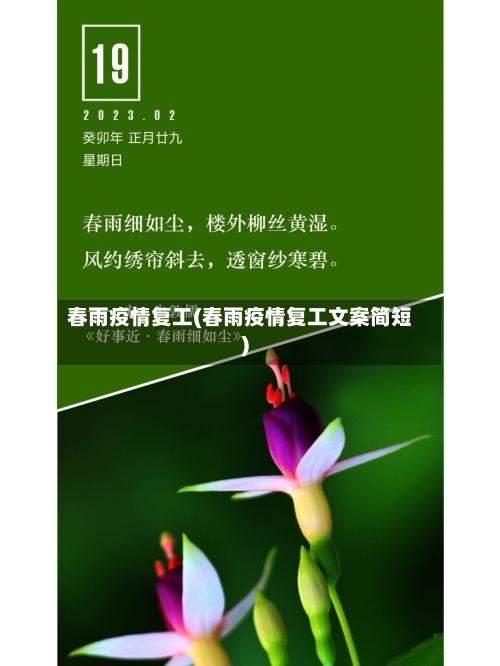 春雨疫情复工(春雨疫情复工文案简短)