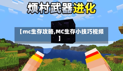 【mc生存攻略,MC生存小技巧视频】