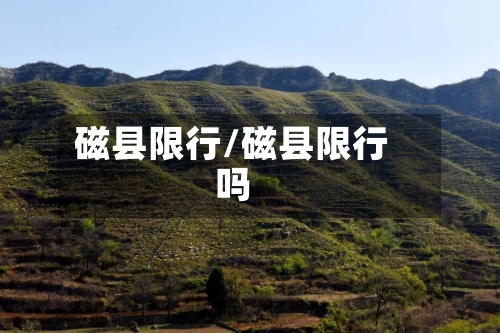 磁县限行/磁县限行吗