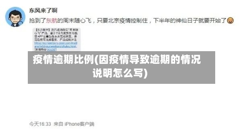疫情逾期比例(因疫情导致逾期的情况说明怎么写)