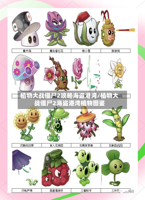 植物大战僵尸2攻略海盗港湾/植物大战僵尸2海盗港湾植物图鉴