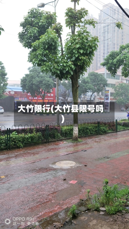大竹限行(大竹县限号吗)