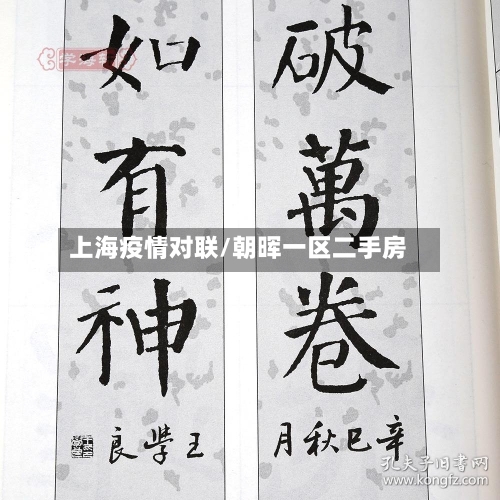上海疫情对联/朝晖一区二手房-第3张图片