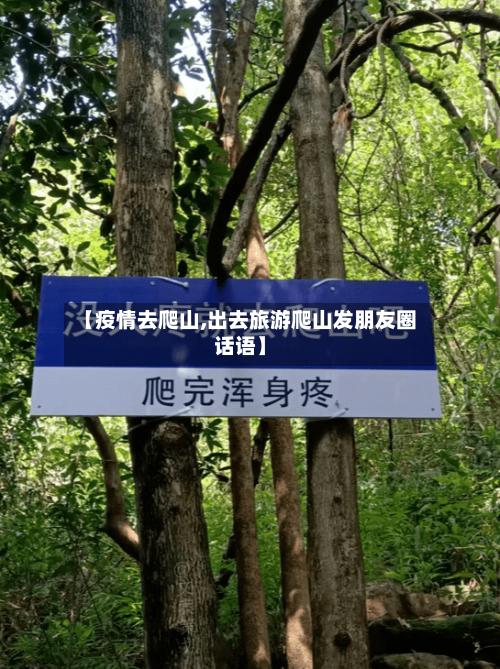 【疫情去爬山,出去旅游爬山发朋友圈话语】