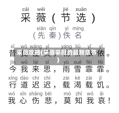 采薇攻略(采薇采薇的最新章节)
