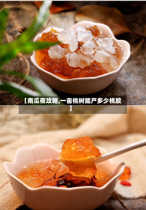 【南瓜夜攻略,一亩桃树能产多少桃胶】