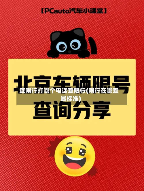 查限行打哪个电话查限行(限行在哪查最标准)-第2张图片