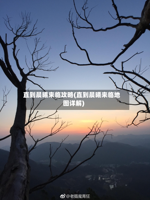 直到晨曦来临攻略(直到晨曦来临地图详解)