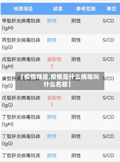 【疫情啥是,疫情是什么病毒叫什么名称】